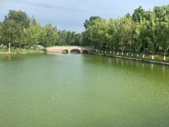 -伊犁河风景区