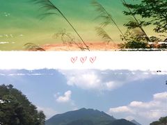 -广州市流溪河国家森林公园