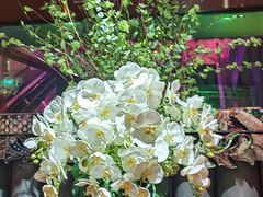 -纯K(打浦桥店)