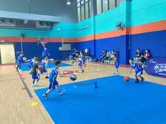 -东方启明星篮球培训(一品漫城校区)