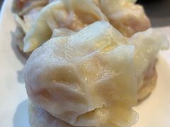 西红柿鸡蛋饺子-新洪记·丽久饭店(铁西店)