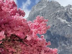 -玉龙雪山蓝月谷