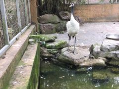 -宁波野生动物园