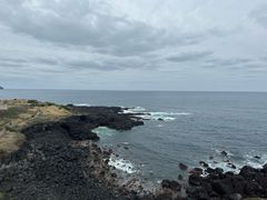 -涉地可支