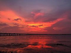 -宝安西湾红树林湿地公园