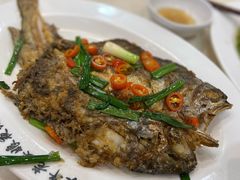 香煎黄花鱼-长平老姿娘夜粥(平东一街店)