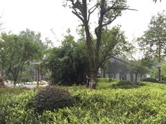 -成飞公园