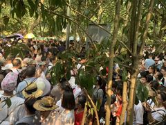 -韶山毛泽东同志故居