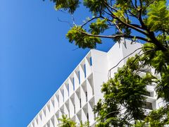 -香港大学
