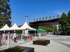 -黄海国家森林公园