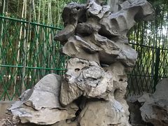 -西苑公园