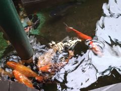 -上海大自然野生昆虫馆(东方明珠·爬宠昆虫探索中心)