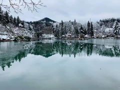-四明山国家森林公园