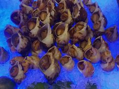 -好日子皇冠假日酒店·君怡咖啡厅(特美思大厦店)