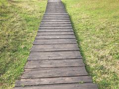 -天龙顶山地公园