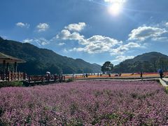 -广州市石门国家森林公园