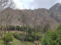 -秦岭终南山世界地质公园翠华山景区