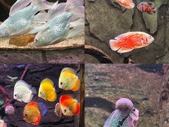 -台州海洋世界