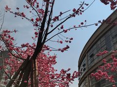 -西南林业大学(白龙校区)
