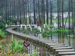 -重庆彩云湖湿地公园