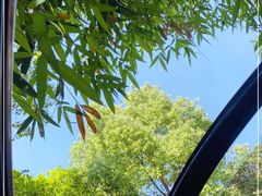-谷咖啡·鲜花绿植花园餐厅