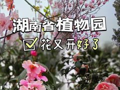 -湖南省植物园