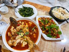 -煲来饱去冷水鱼