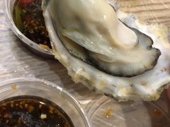 -爱蚝屋
