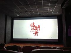 -华美国际影城(旧宫永辉店)