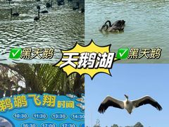 -广州长隆野生动物世界
