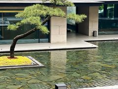 -扬州瘦西湖汇金酒店