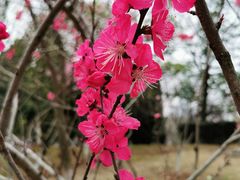 -白塘生态植物园