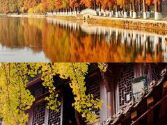 -宝通禅寺