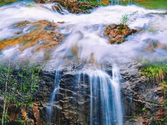 -九龙江国家森林公园