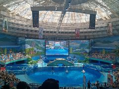 -海合安成都极地海洋公园