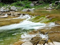 -上海佘山国家森林公园西佘山园