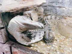 -上海大自然野生昆虫馆(东方明珠·爬宠昆虫探索中心)