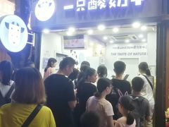 -一只酸奶牛(八一路店)