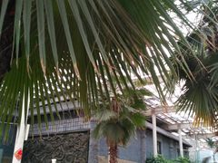 -龙达温泉生态城