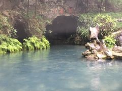 -灵栖洞天
