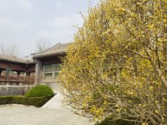 -阳台山自然风景区
