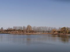 -东郊湿地公园
