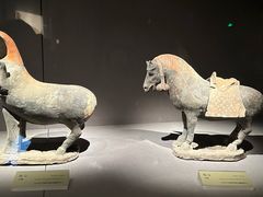 -大同市博物馆