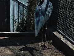 -盐城丹顶鹤湿地生态旅游区