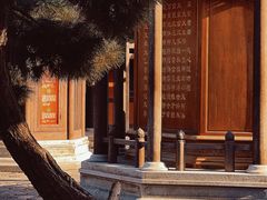 -广富林郊野公园