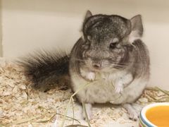 -龙猫仔乐园(惠福东路店)