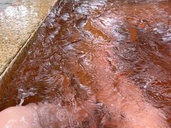 -春晖园度假酒店温泉