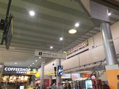 -谢列梅捷沃国际机场