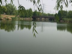 -九里河湿地公园