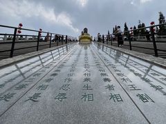 -龙口南山旅游景区